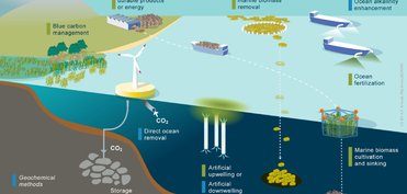 Συμμετοχή Ακαδημαϊκού του UNIC σε έκθεση του European Marine Board για την παρακολούθηση της θαλάσσιας αφαίρεσης άνθρακα