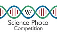 Βικιπαίδεια: Διαγωνισμός Επιστημονικής Φωτογραφίας